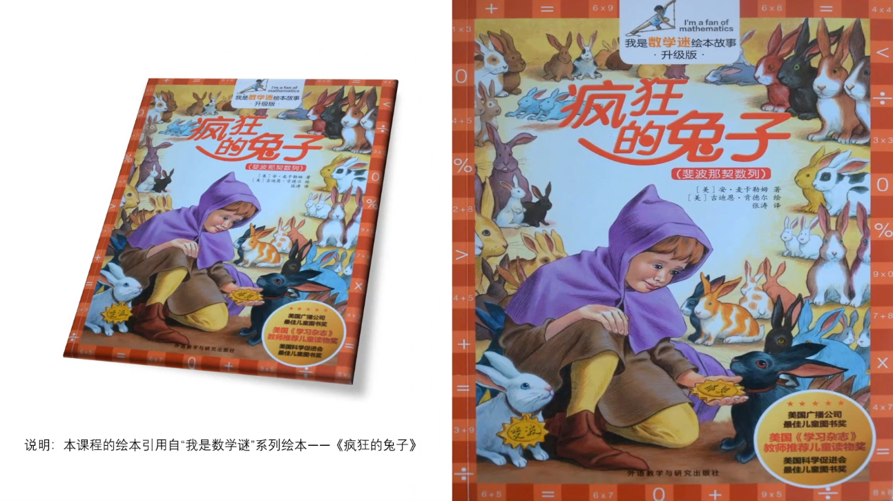海淀区综合学习-6年级-疯狂的兔子（下）